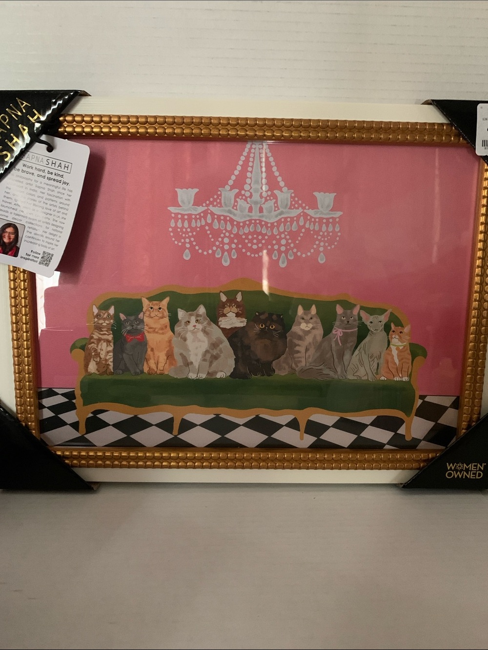 Sapna Shah Pink Cats Sofa Wall Artwork NEW